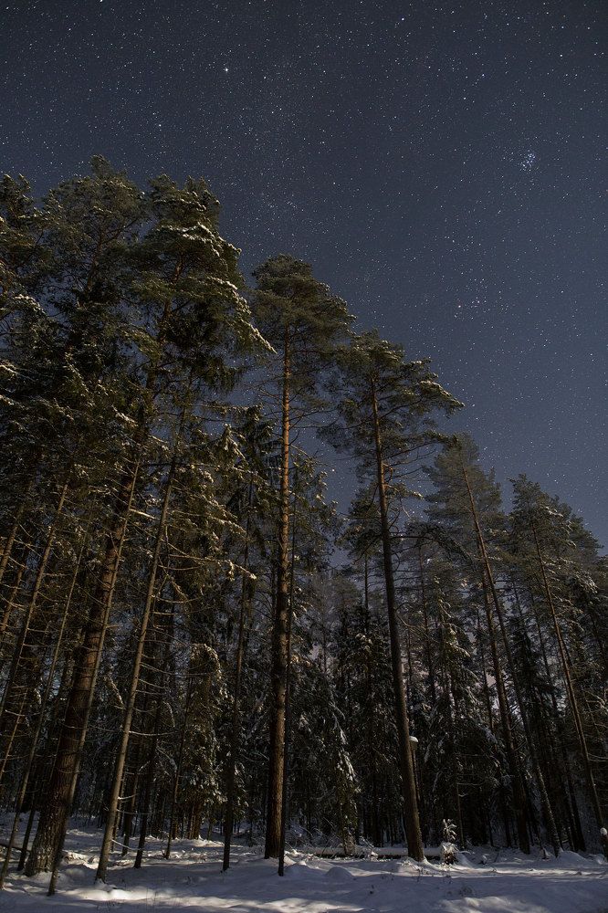 Photograph by Антон Арефьев