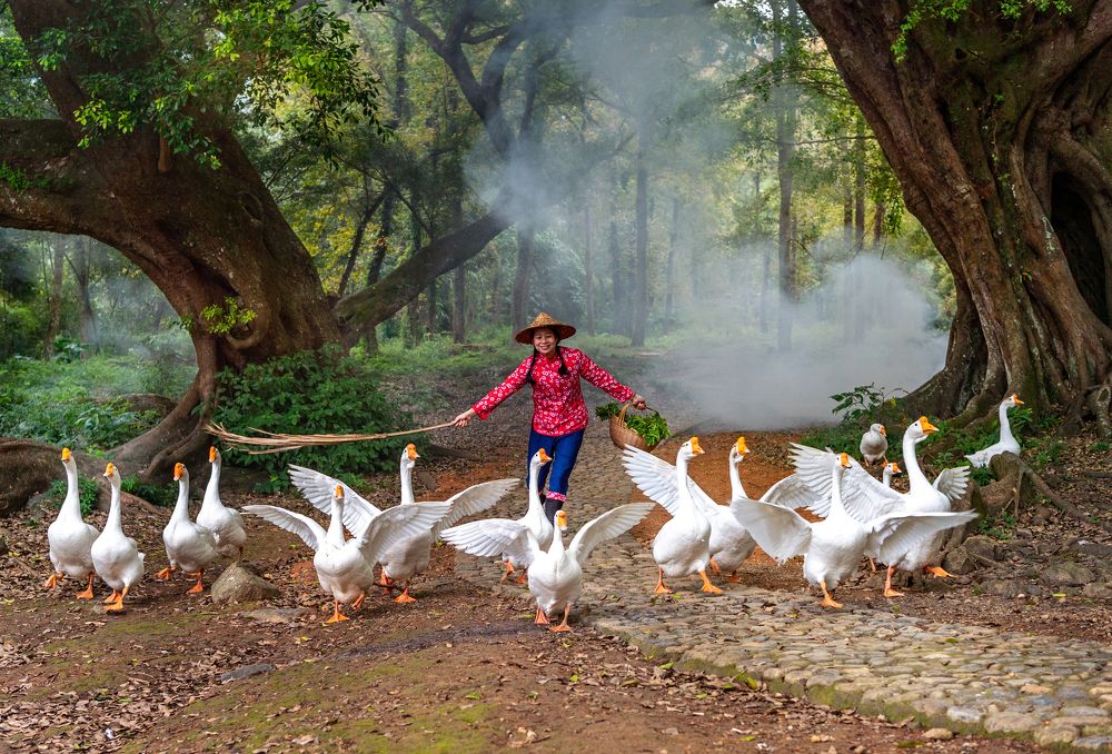 Photograph by Кирина Елизавета