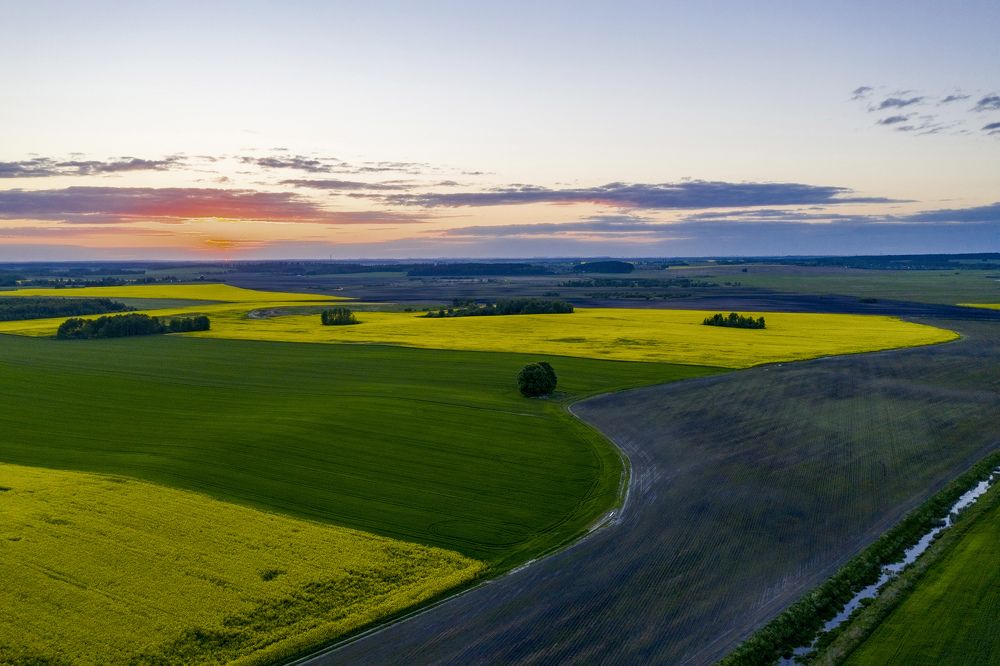 Photograph by SIARHEI RABCHONAK