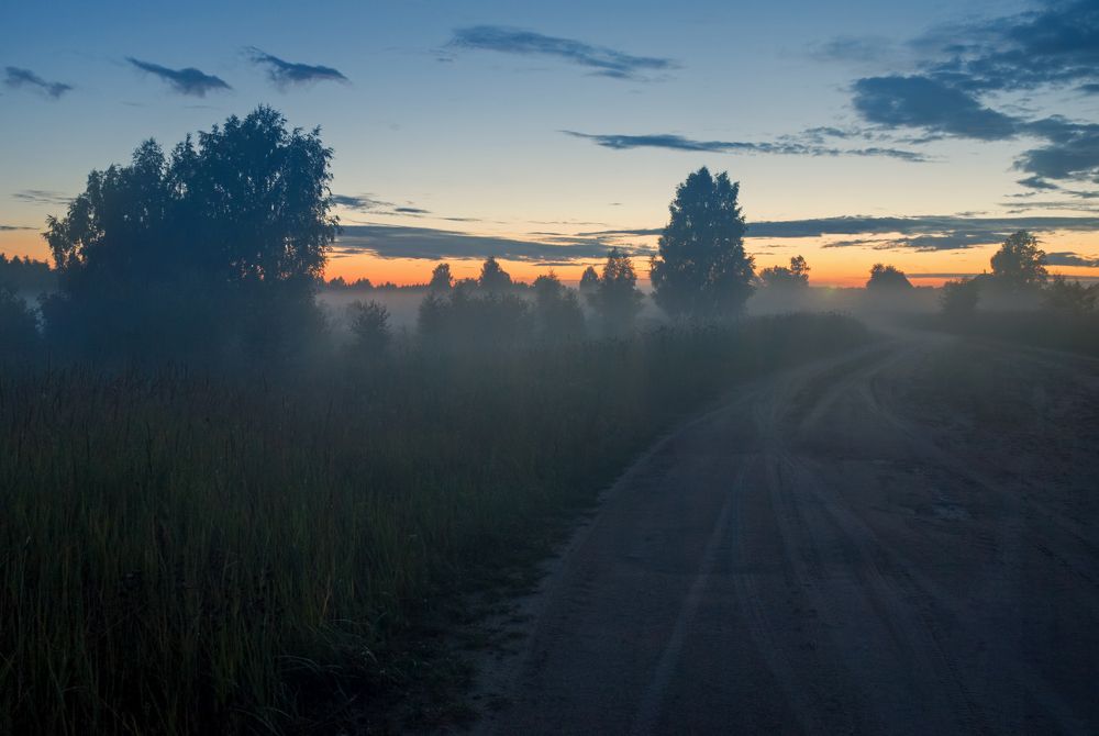 Photograph by Елена Потемина