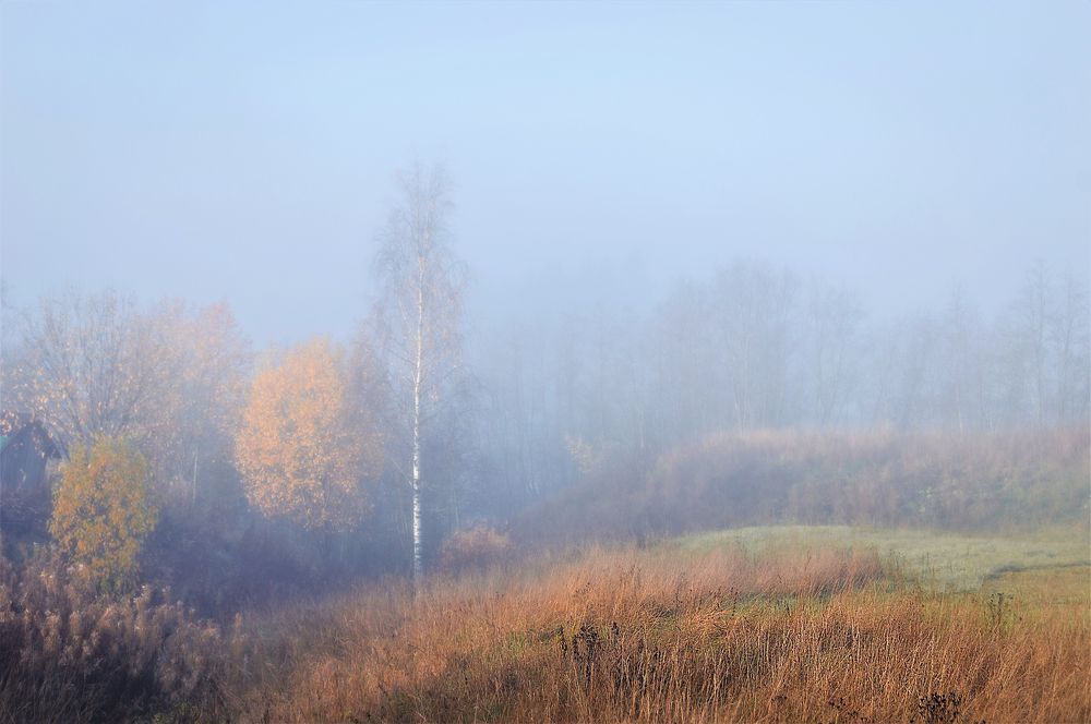 Photograph by Олег Менакер