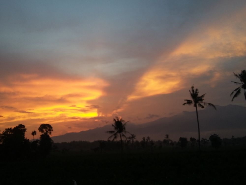 Photo #6862988