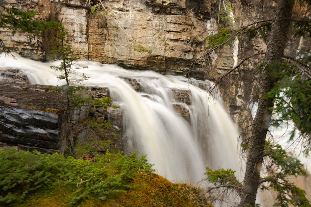 Photograph by JOY SAHA