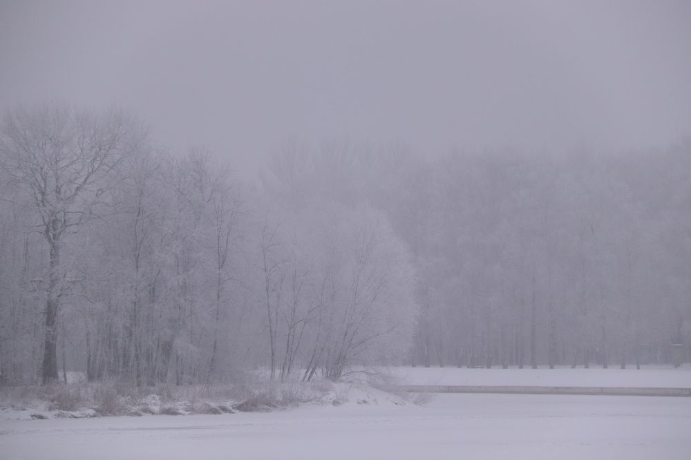 Photograph by Ксения Тарунина