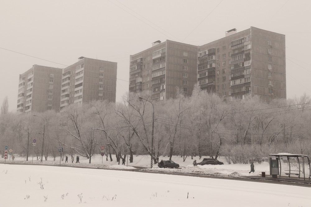 Photograph by Ксения Тарунина