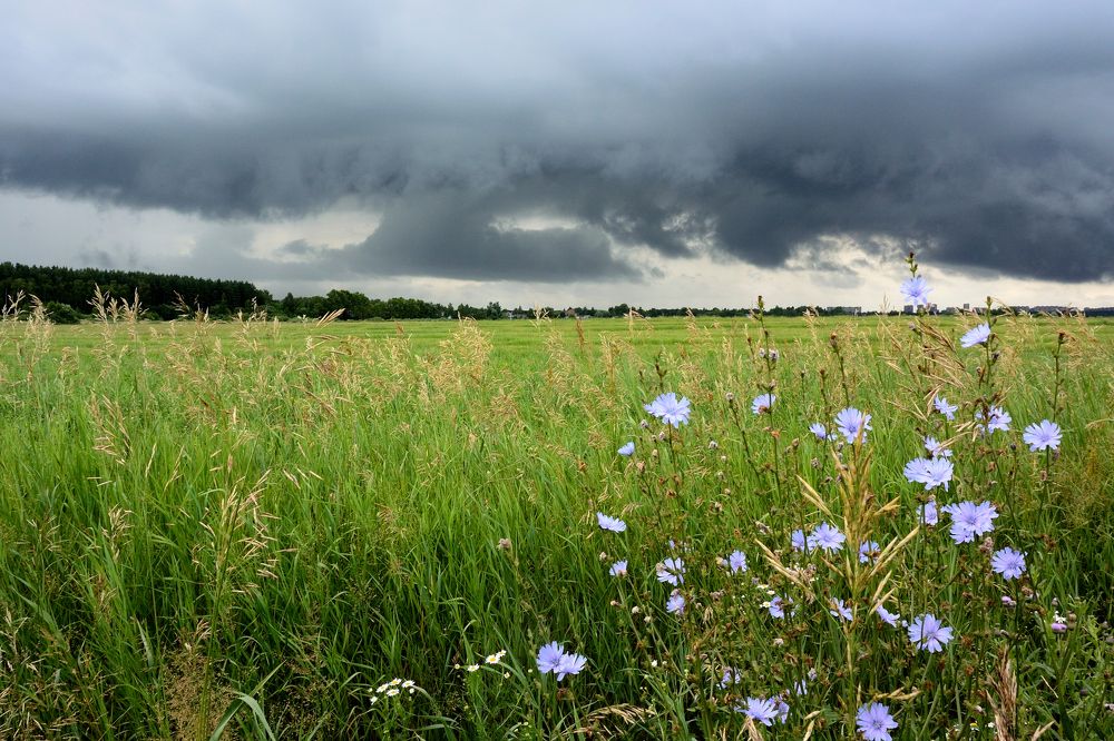 Photograph by Василий