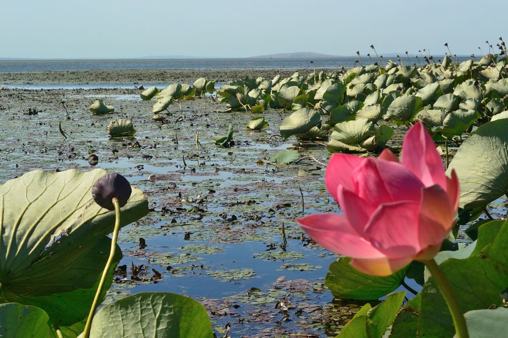 Photograph by Василий