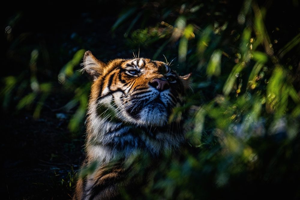 Photograph by James Foy