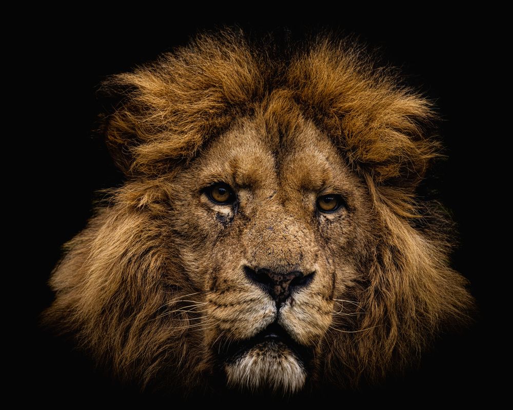 Photograph by James Foy