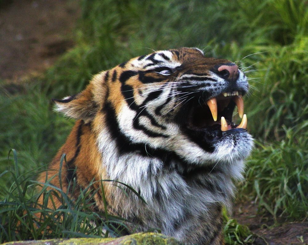 Photograph by James Foy