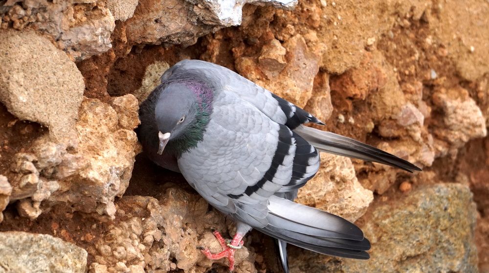 Photograph by Prabhu Viswanathan