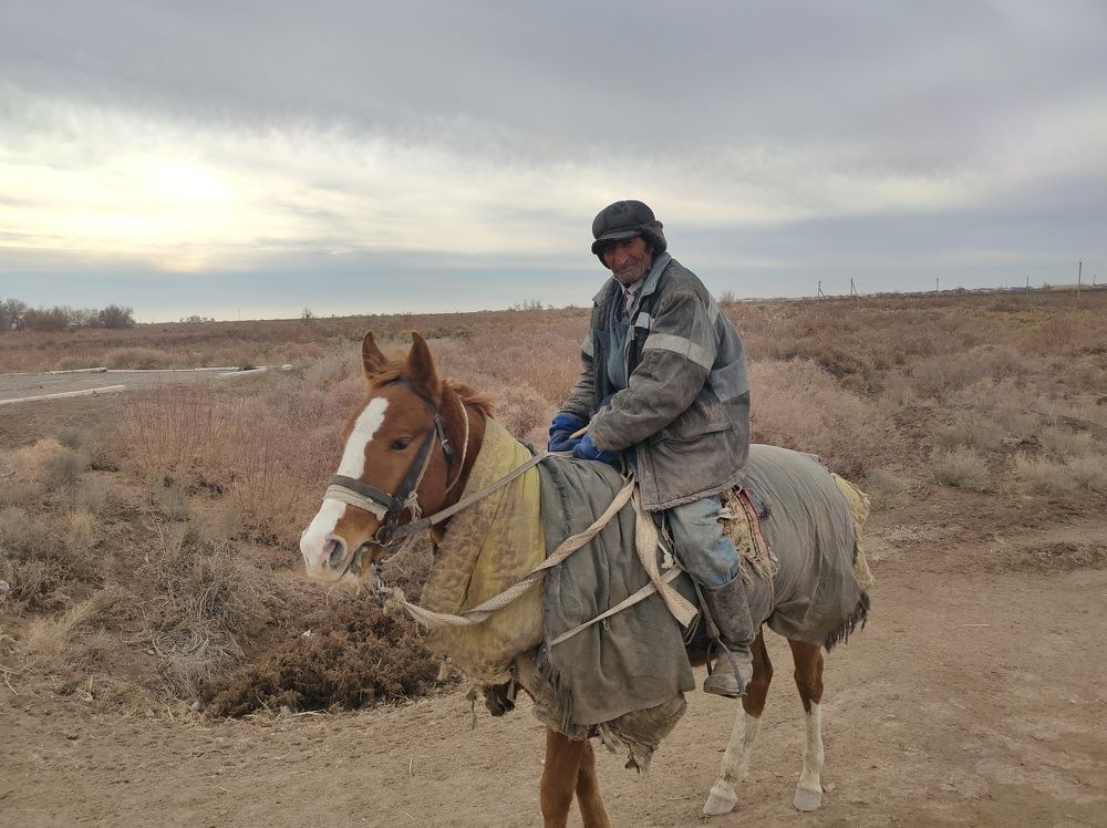 Photo #6863165