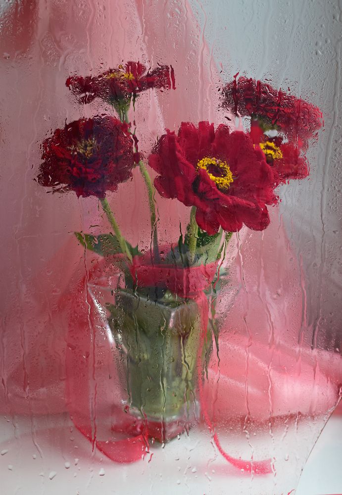 Photograph by Вера Звягинцева