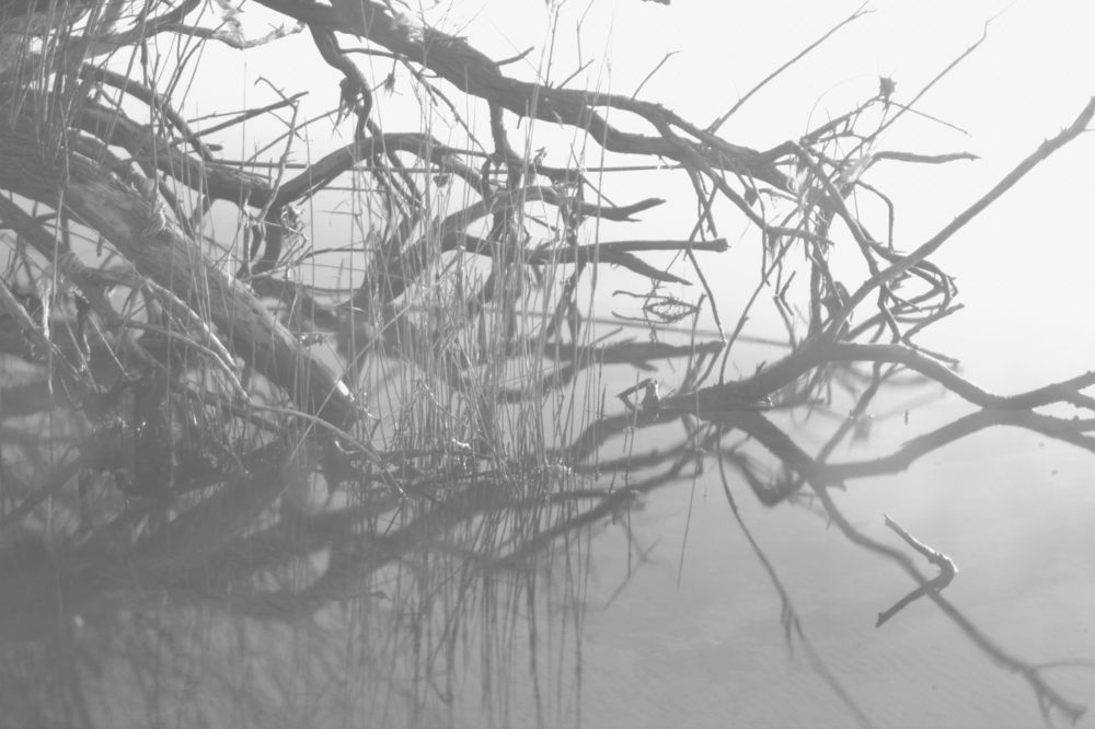 Photograph by yvan teule