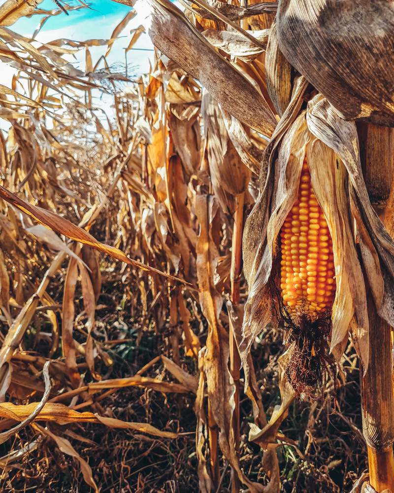 Photograph by Мария