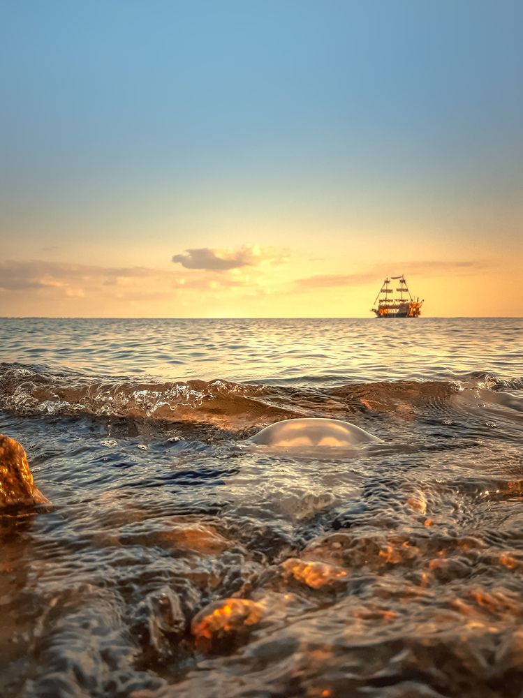 Photograph by Сергей Колос