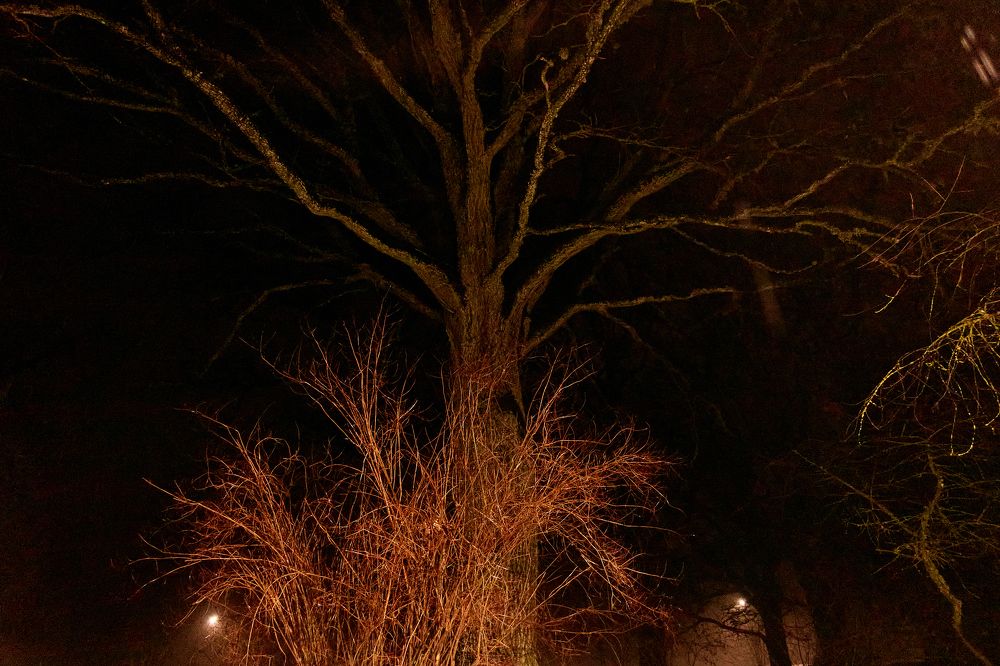 Photograph by Osvalds Kretainis