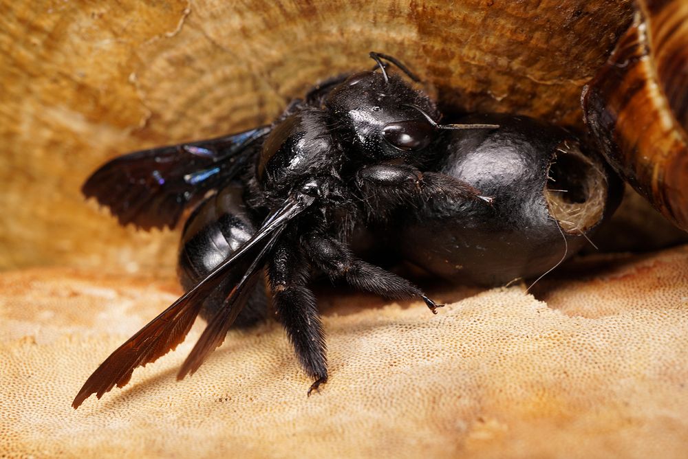 Photograph by Sergios  Kozmidis