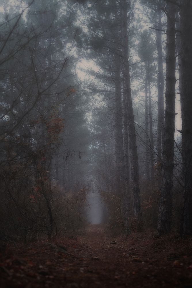 Photograph by Оксана Пономаренко