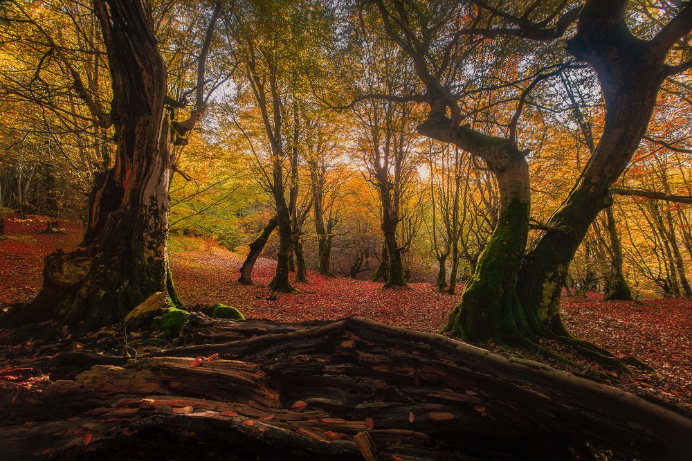 Photograph by Ebrahim soheyli