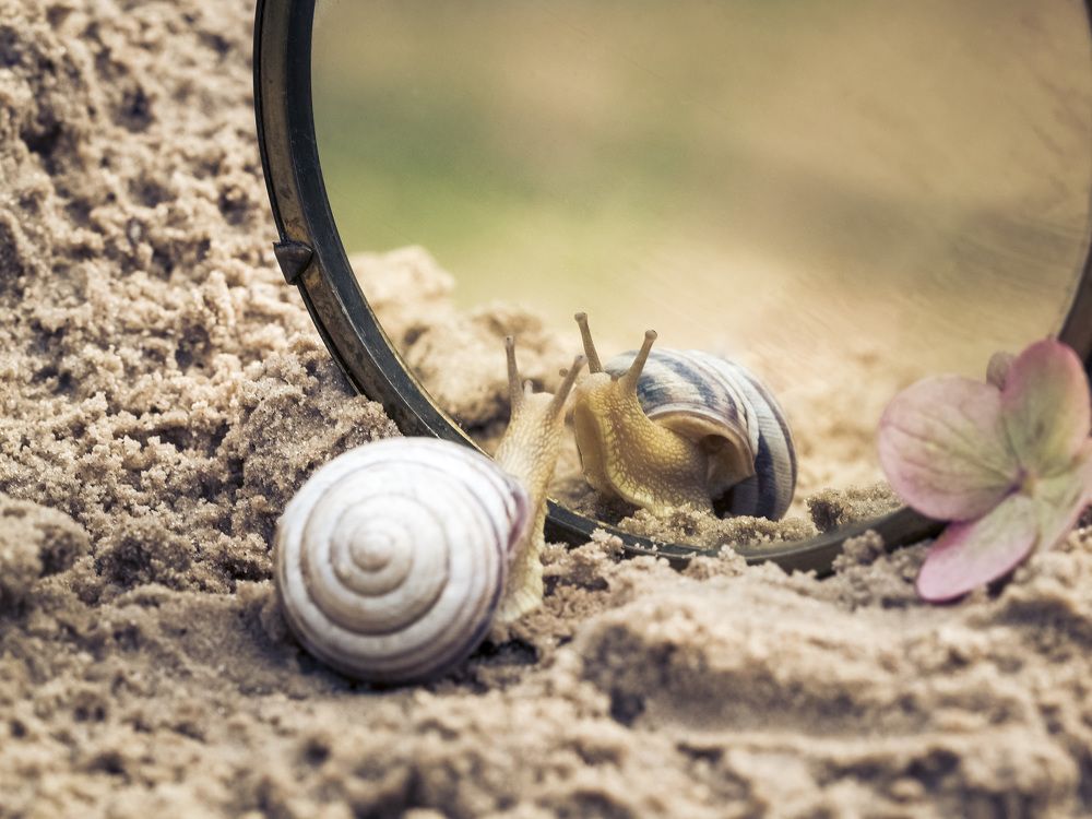 Photograph by Алла Вовк