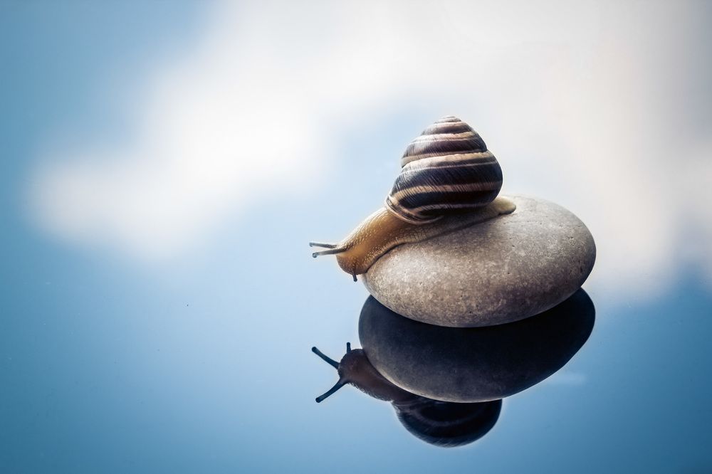 Photograph by Алла Вовк