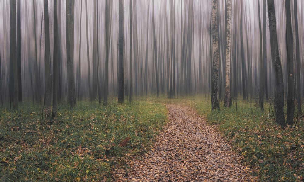 Photograph by Denis Romanov