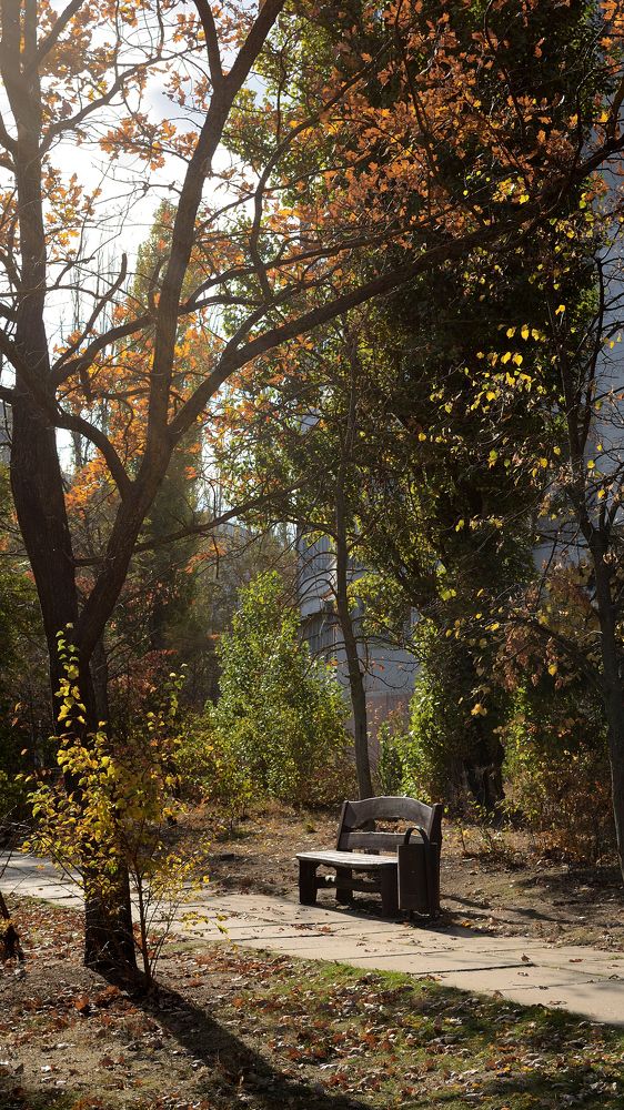 Фотография автора Алексей Батюков