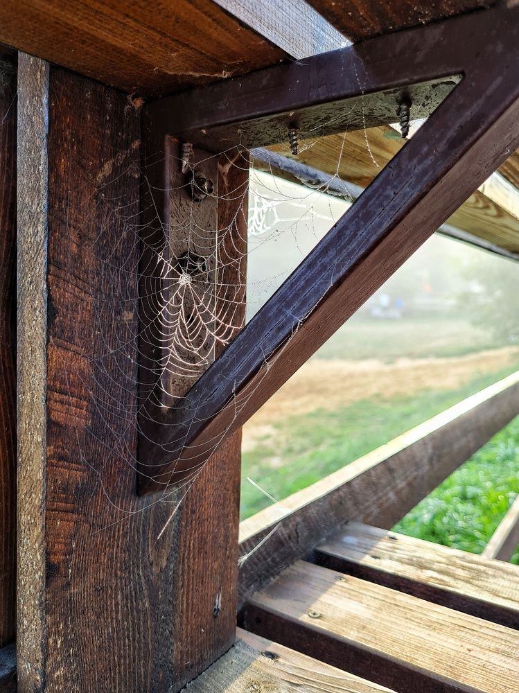 Photograph by Мария