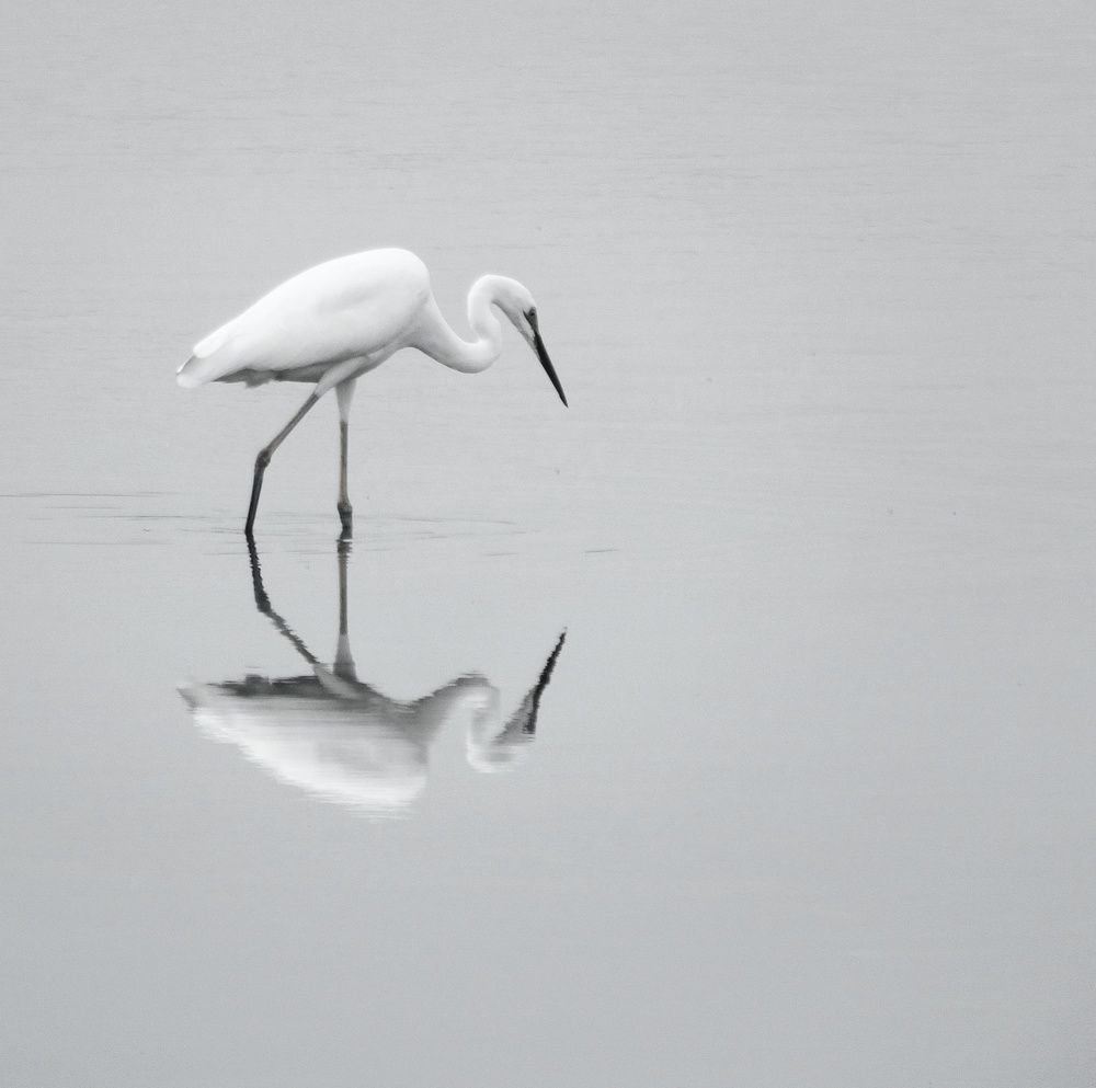 Photograph by Darshan Patil