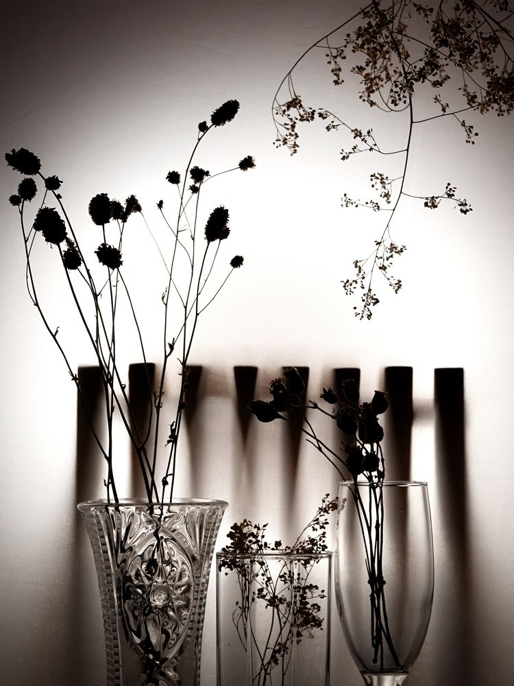 Photograph by Зульфия Курманова