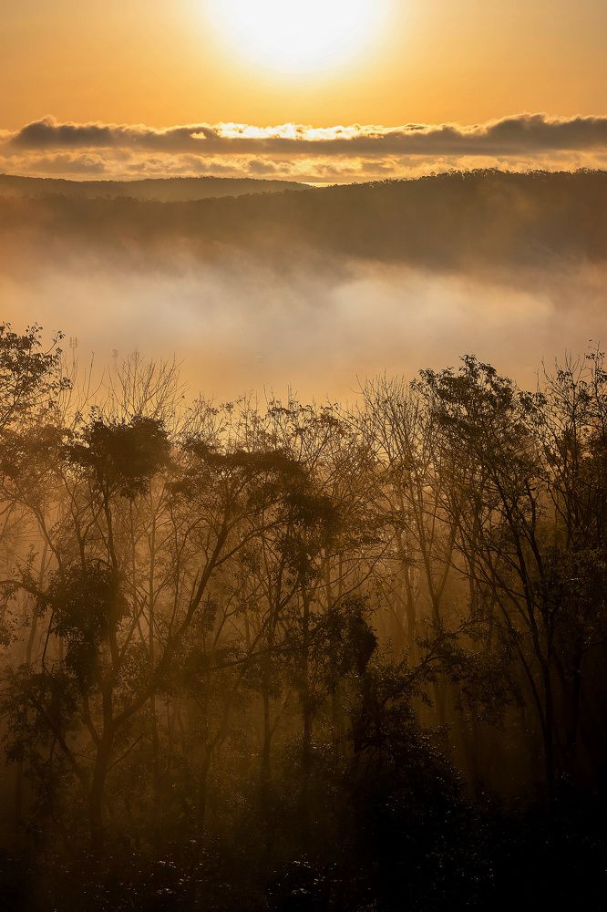 Фотография автора Елена Янченко