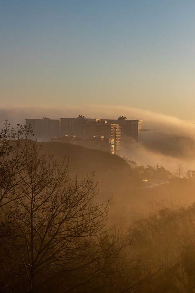 Фотография автора Елена Янченко