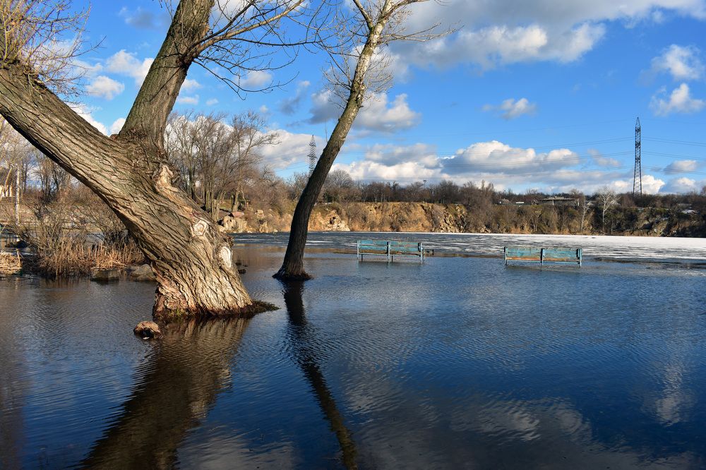 Photograph by Stan Lee