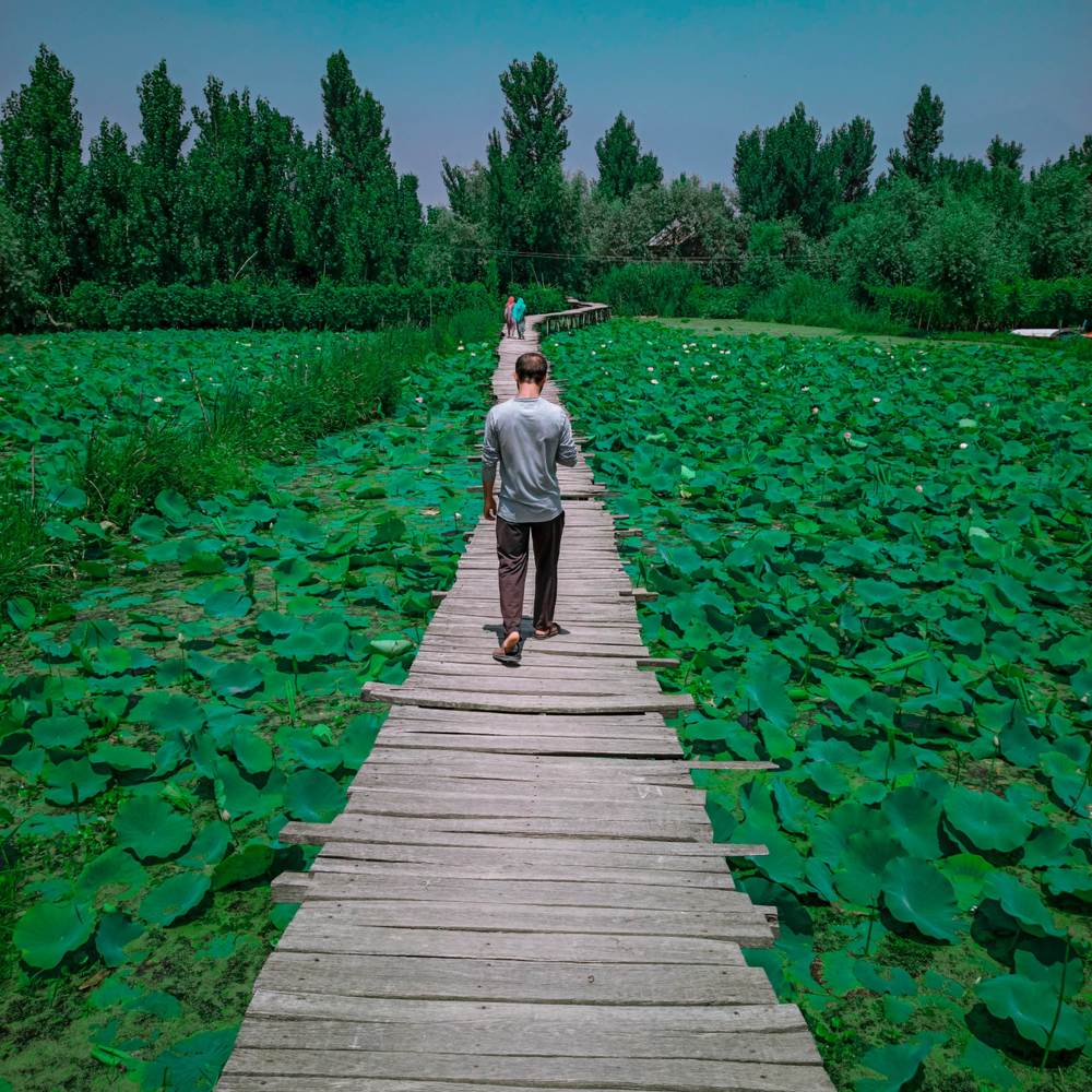 Photograph by Murtaza Ali