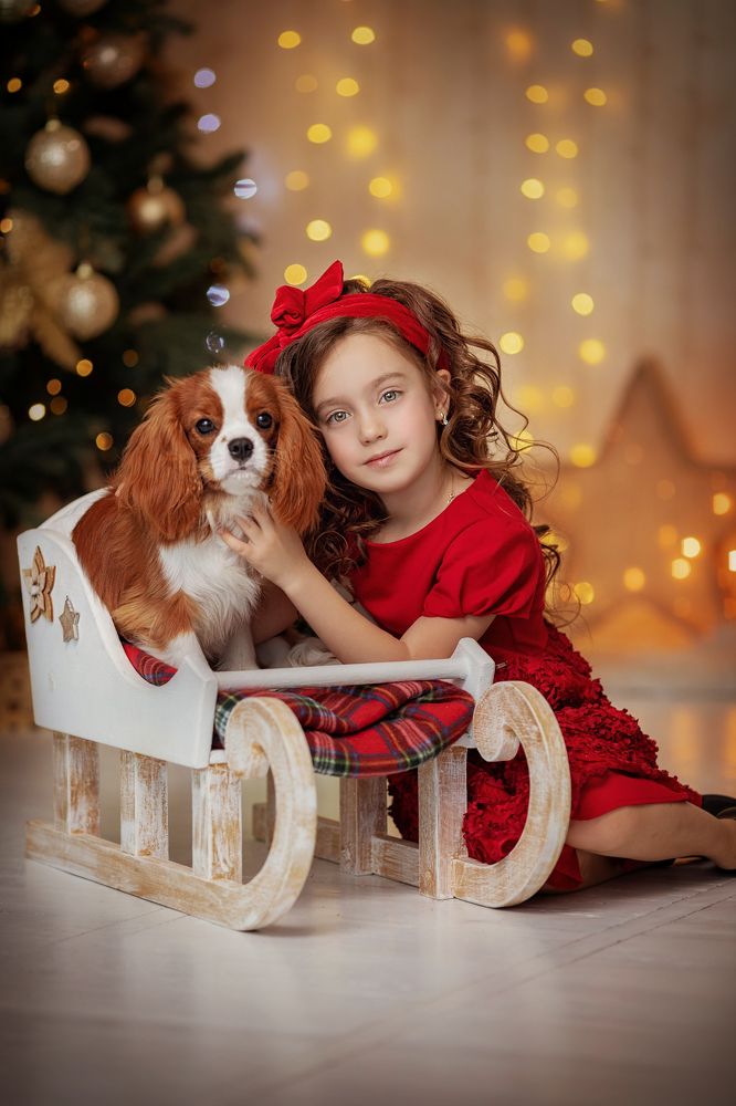 Photograph by Бибина Виктория