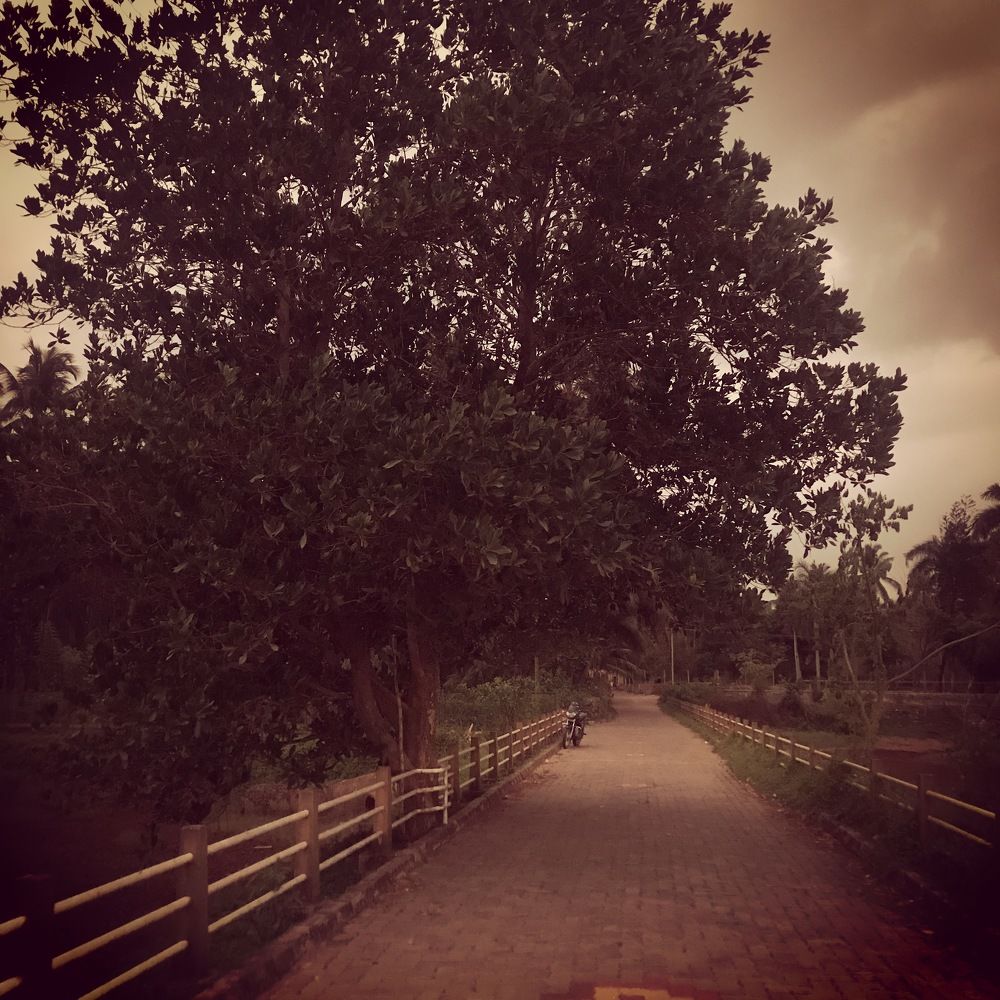 Фотография автора Naren Telluri