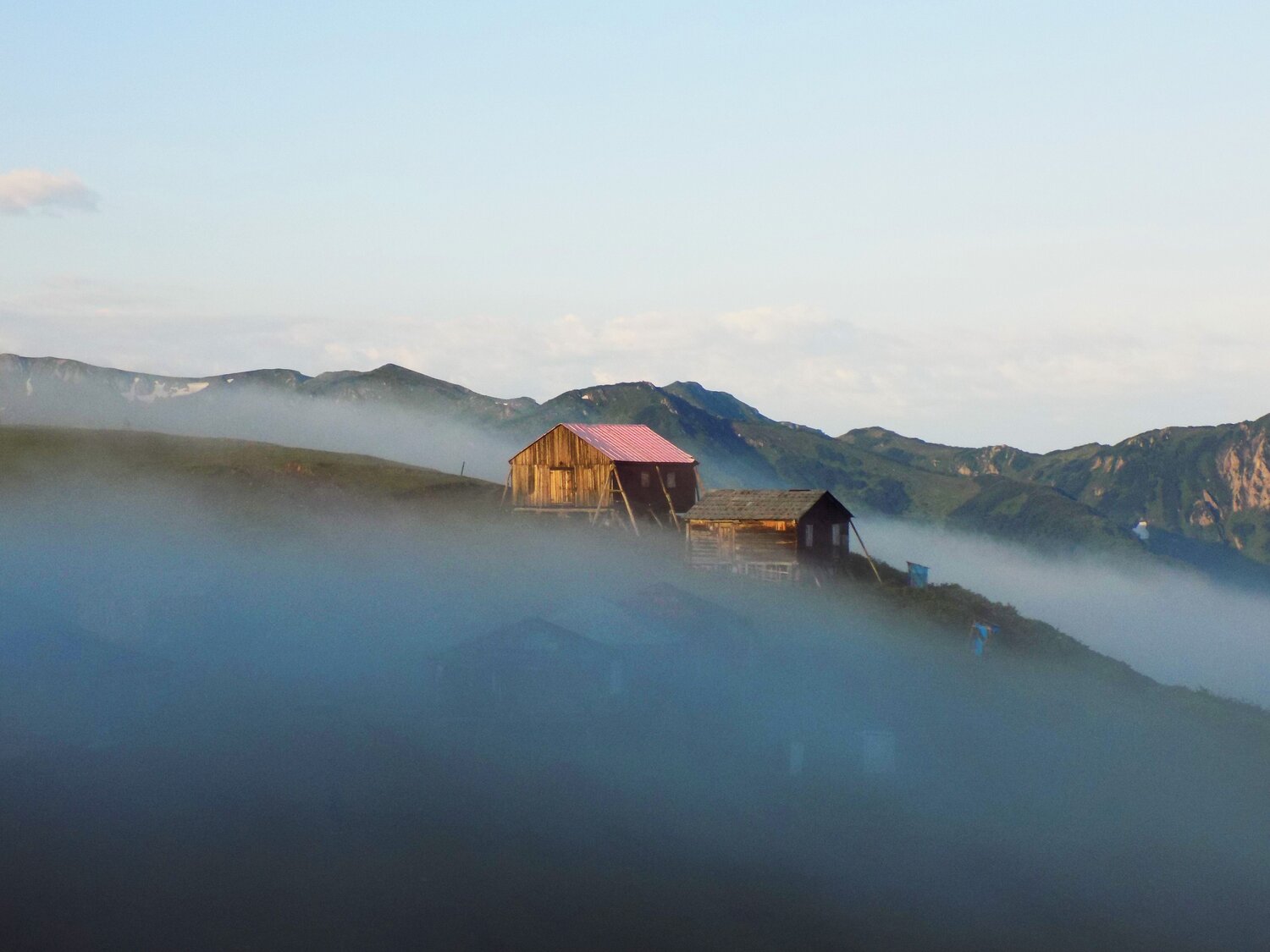 Photo #6863791