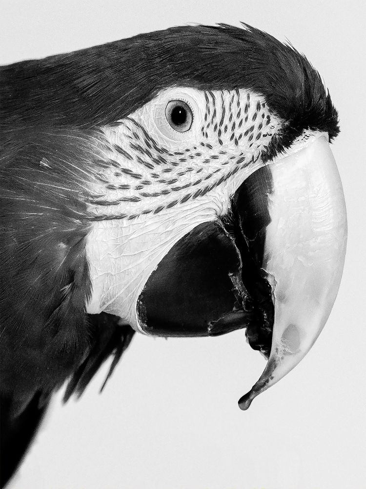 Фотография автора Emilia Szotko