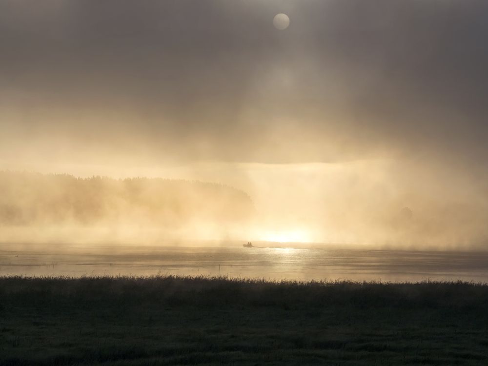 Photograph by Зульфия Курманова