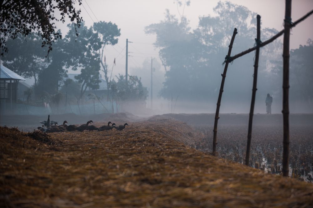 Photograph by Saiful Islam