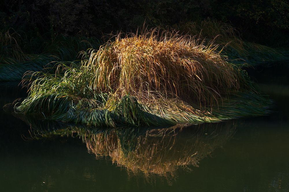 Photograph by Юрий Пузанов