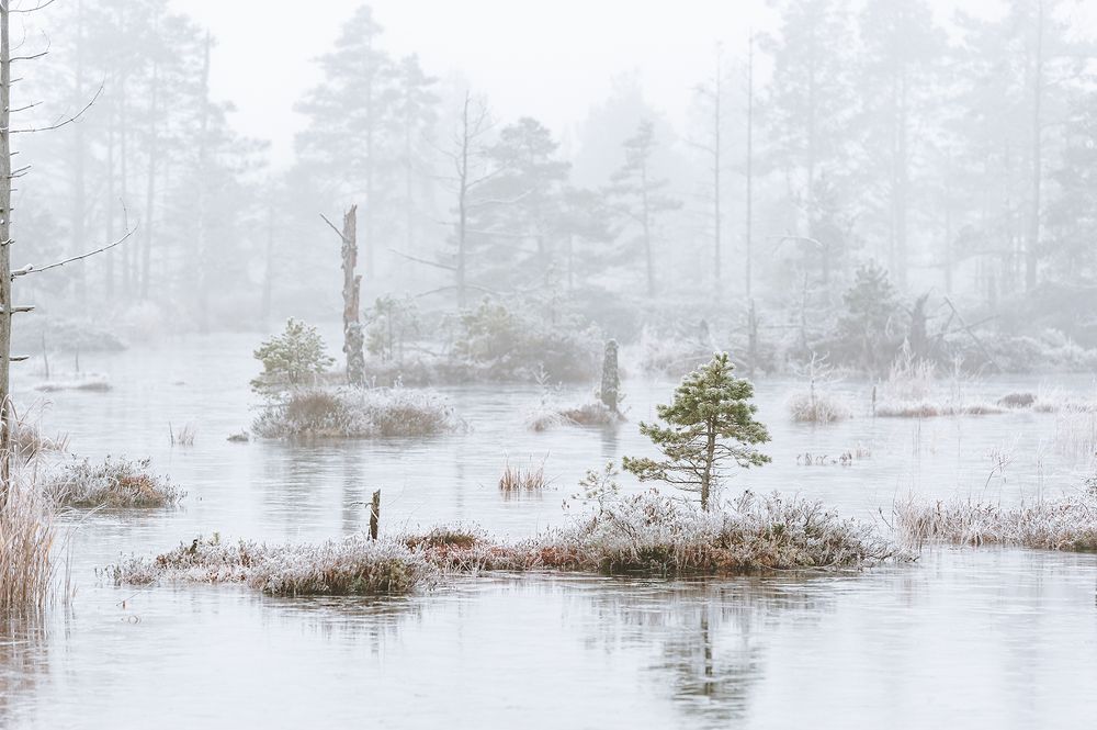 Photograph by Regina Marcenkiene