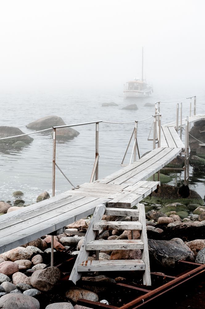 Photograph by Regina Marcenkiene