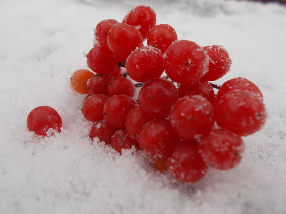 Photo #6864000