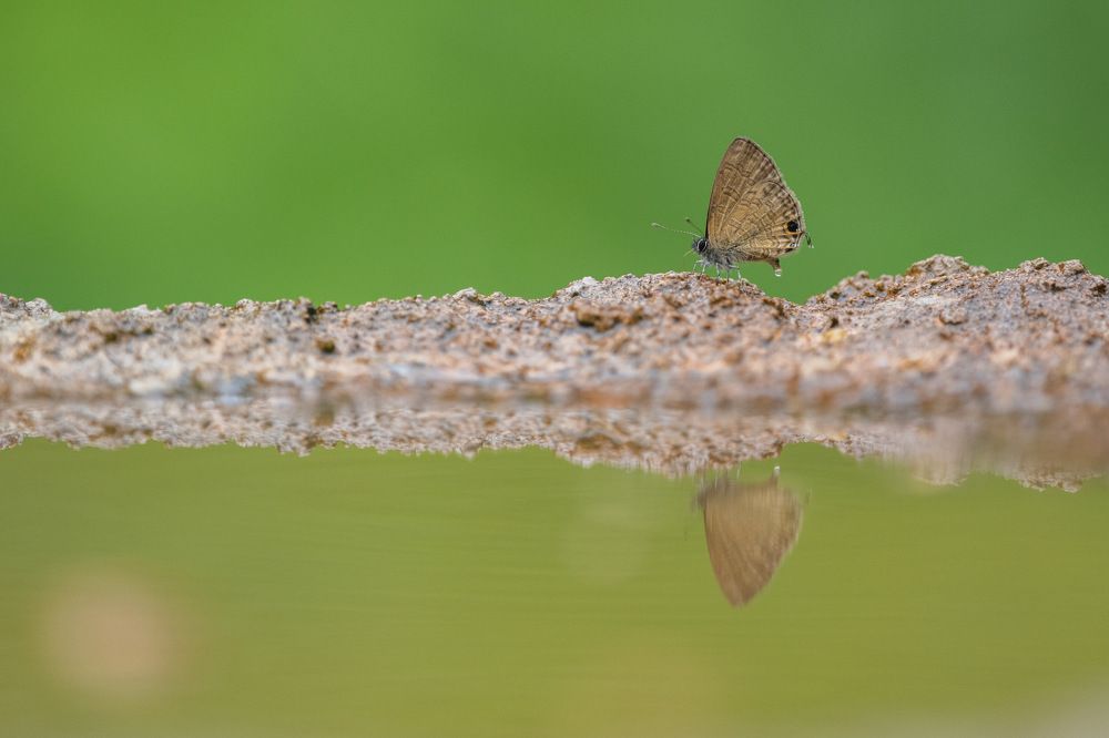 Photograph by Benny Chan