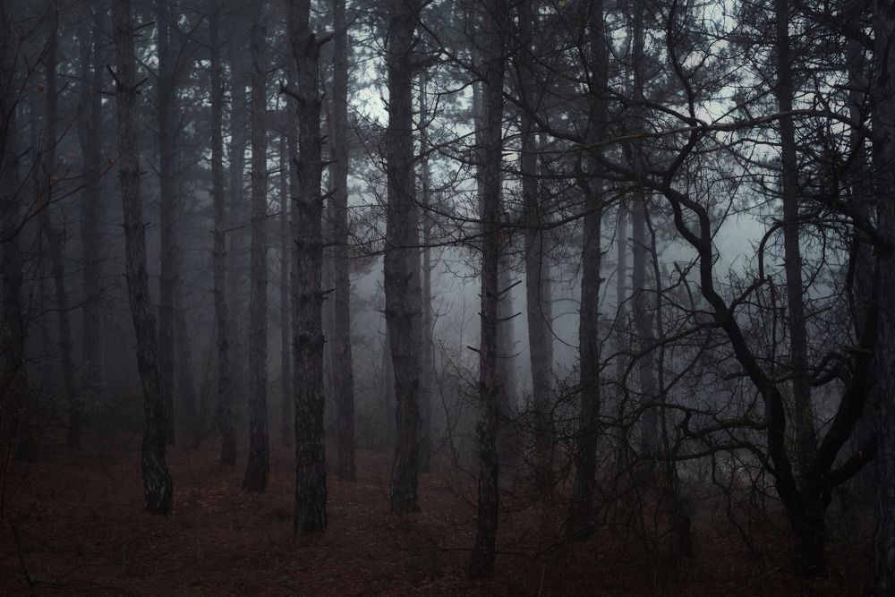 Photograph by Оксана Пономаренко