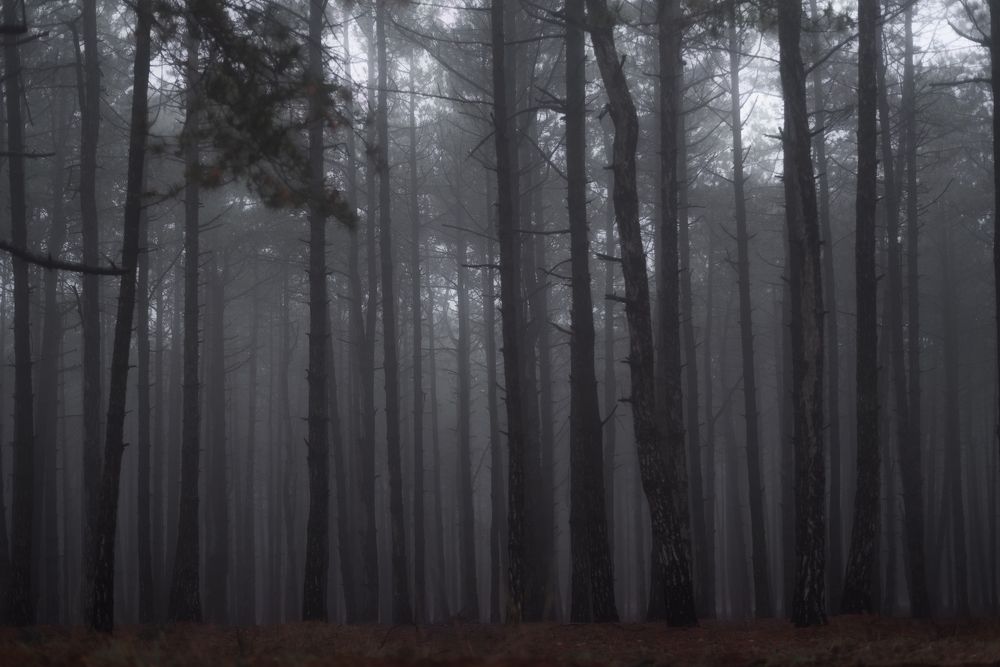 Photograph by Оксана Пономаренко