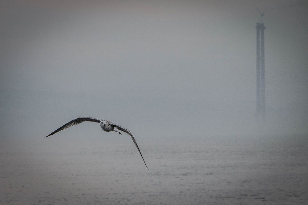 Photograph by Таймураз Гумеров