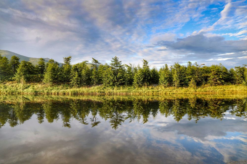 Лето в реке.